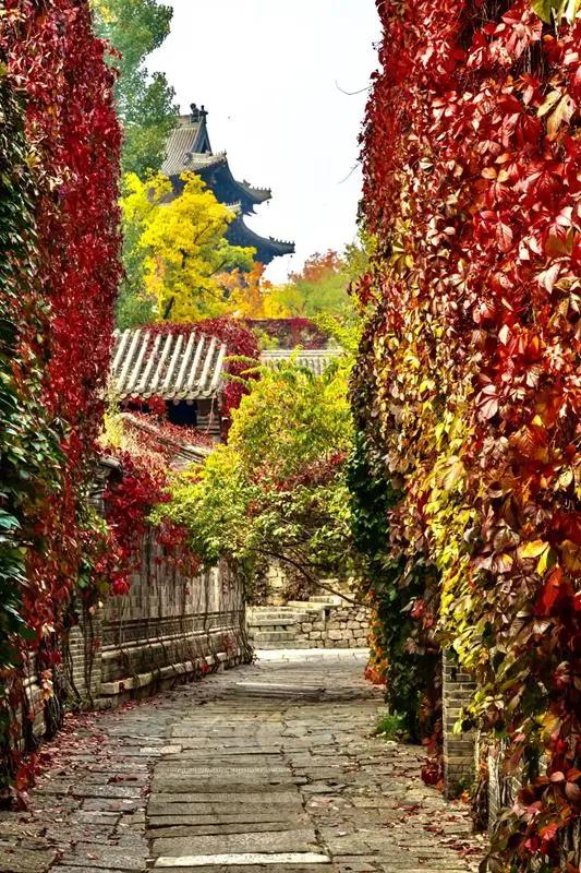北京周边赏红叶人又少的地方在哪（在北京最美的季节赏红叶）(3)