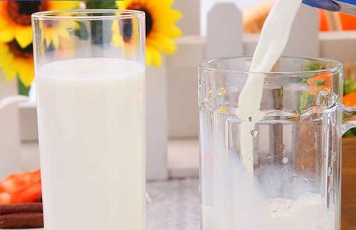 脱脂牛奶在减肥期间可以喝多少（喝脱脂牛奶到底能不能减肥）(4)