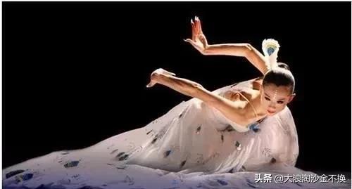 金星和杨丽萍谁水平高（金星和杨丽萍在舞蹈圈到底属于哪种级别）(2)