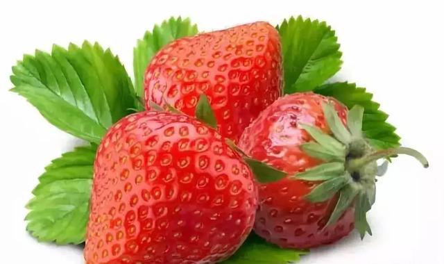 草莓品种那么多怎么选择（草莓不知道选什么品种）(12)