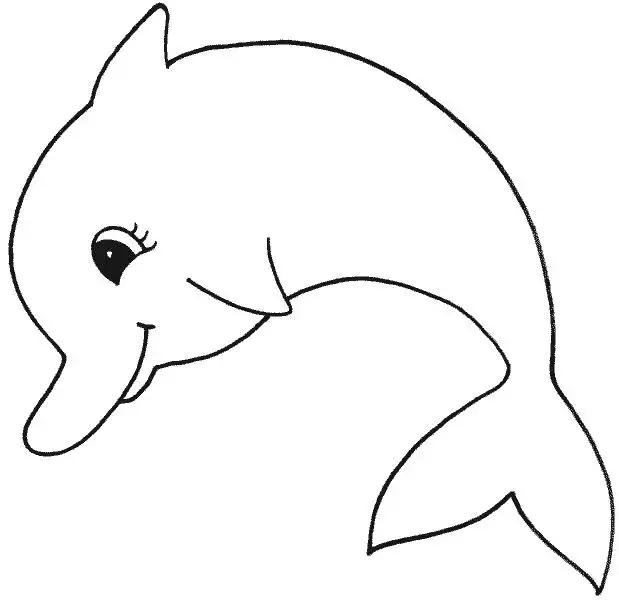 绘画海豚的画法（难得一见的海豚白描线稿）(4)