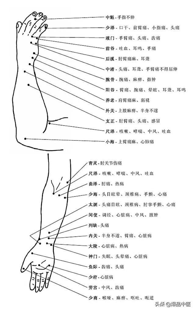 人体穴位经脉图及作用（图解-人体穴位）(6)