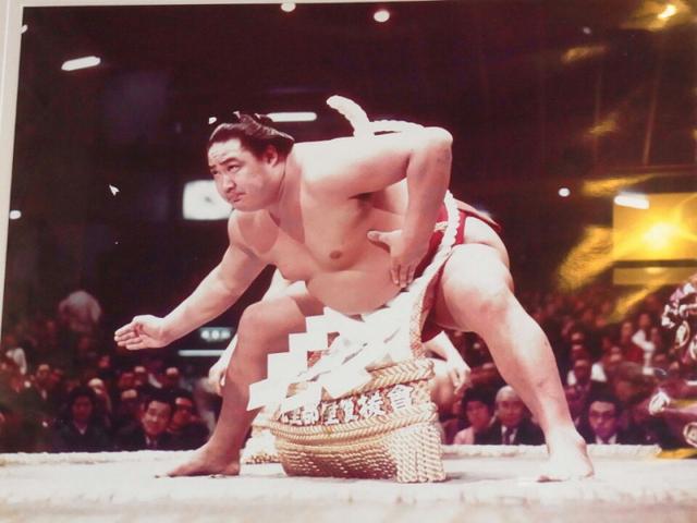 日本相扑高手大全（日本大相扑文化与竞技）(2)