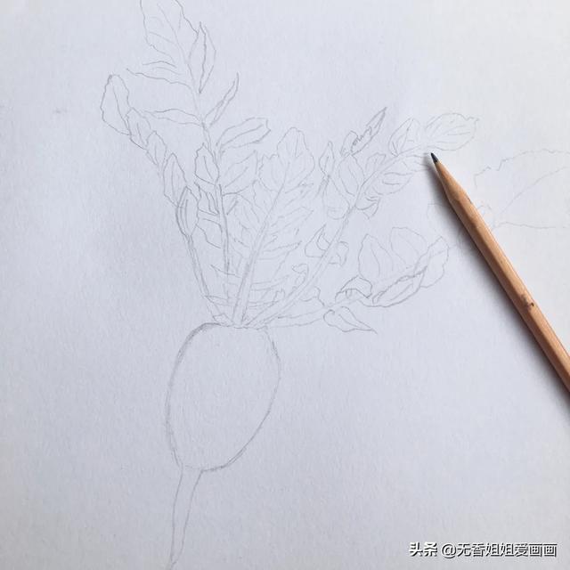 怎么画萝卜简单又可爱（手绘大人和孩子一看就会）(2)