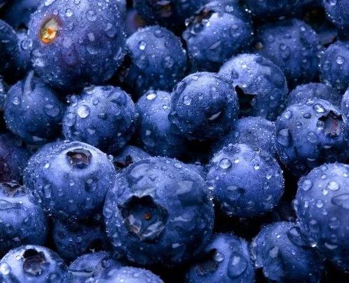 类似蓝莓的水果是什么（你肯定只知道草莓蓝莓）(2)