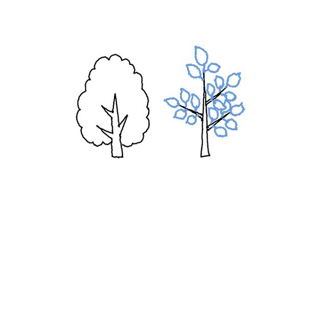 如何画树木简笔画（如何画树木简笔画）(5)