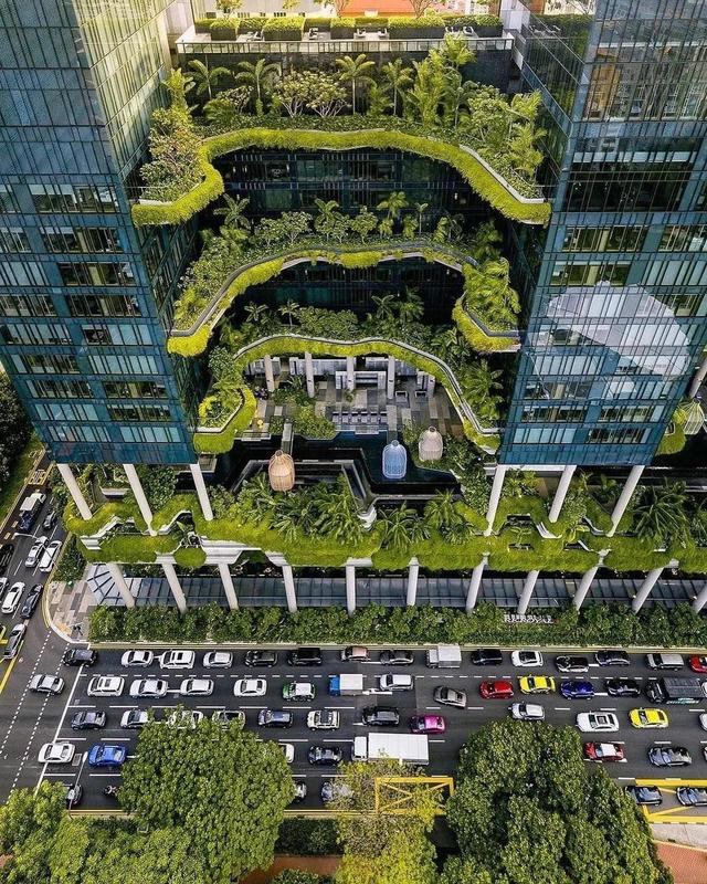 新加坡森林公园规划图 森林城市--新加坡(6)