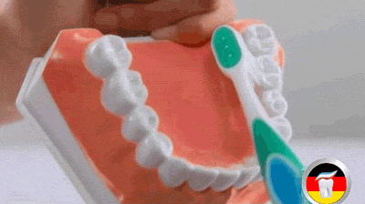 教你怎样正确刷牙（你真的会刷牙吗）(9)