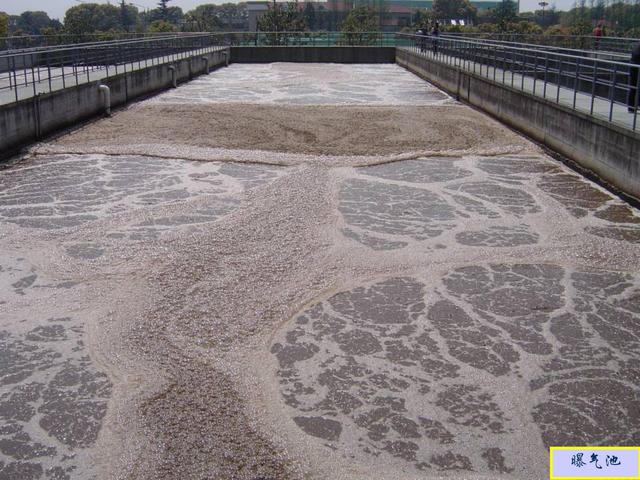 工业废水的生物处理方法包括（废水的生物处理详解）(11)