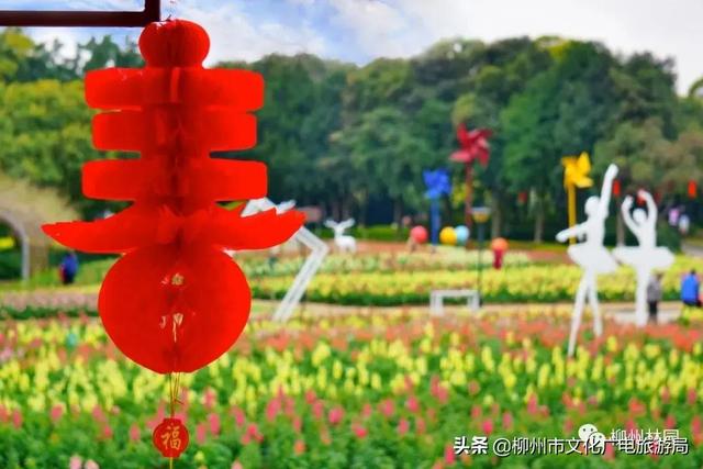 春节柳州旅游攻略大全（在柳过年游公园）(2)