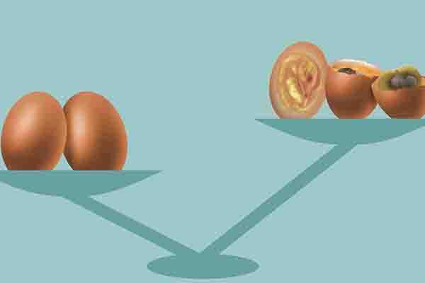 鸽子蛋与鸡蛋的营养有何差别（鸽子蛋与鸡蛋有什么区别吗）(2)