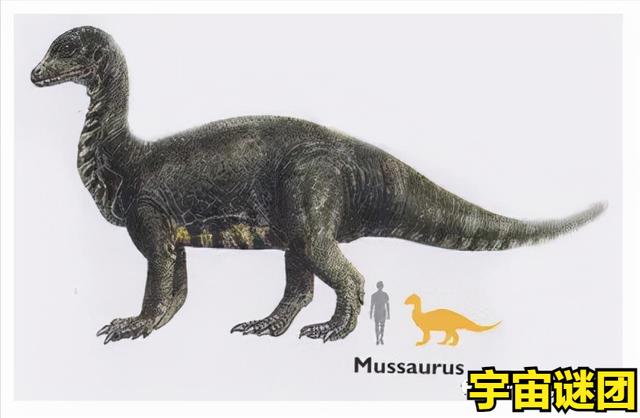 恐龙里面最强大的恐龙（恐龙科普下面这10种恐龙你能认完吗）(12)