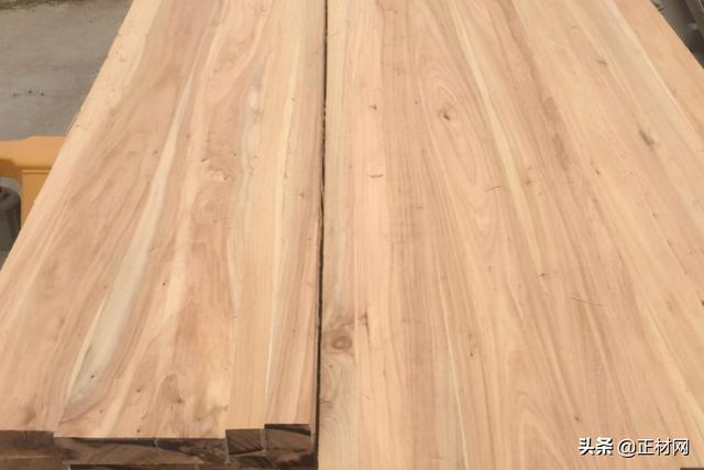 地板12种常见木材介绍（16种常见的地板木材）(16)