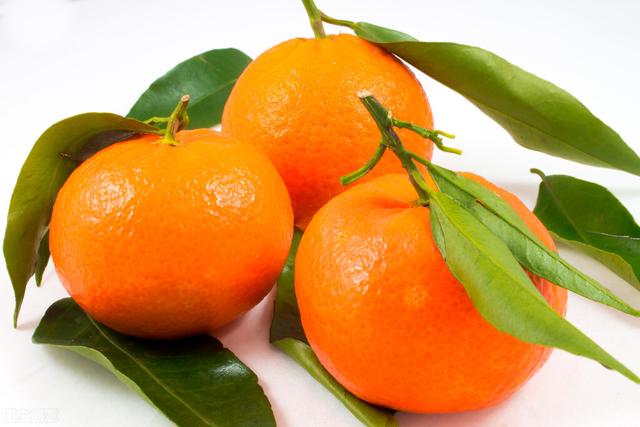 橘子的危害有多大（激素橘子危害多）(1)