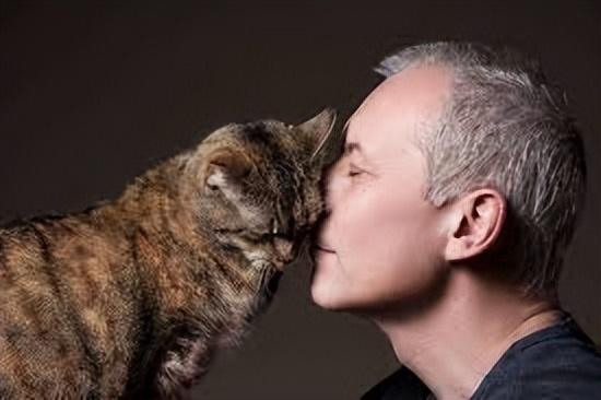猫为什么喜欢一直蹭脸（猫为什么爱蹭脖子）(3)