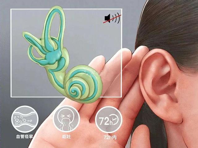 耳朵突然听不见怎么治疗（耳朵突然听不见）(2)