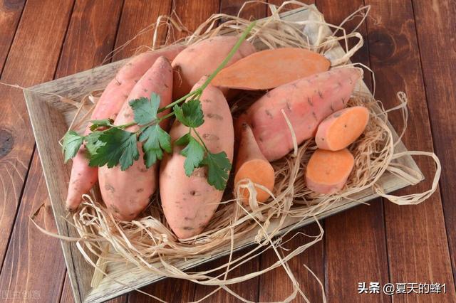 冬薯（秋薯成熟的季节）(5)