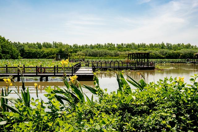 广州第一个湿地公园（广州市最大的湿地公园）(5)