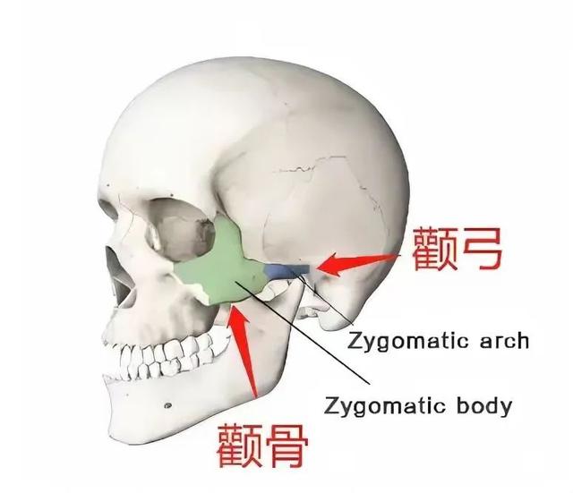 山东省颌面外科专家排名（韦敏主任科普面部轮廓）(9)
