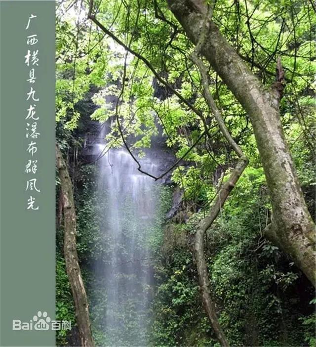 横县西津湖景区好玩吗（横县的旅游景点）(4)