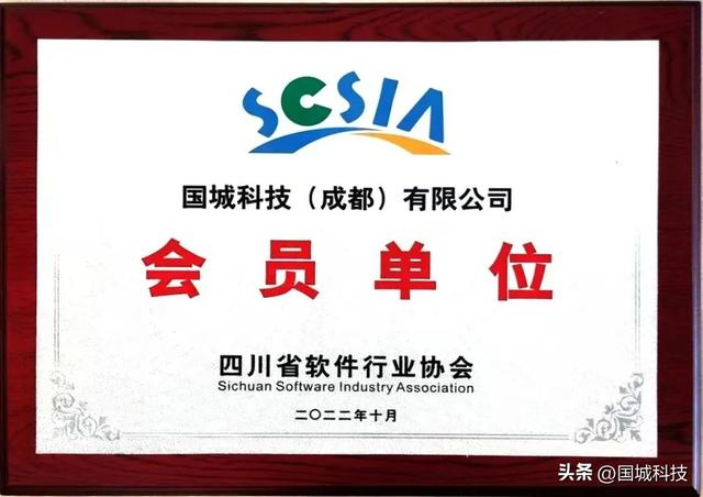 江苏重点软件企业认定（国城科技正式成为四川省软件行业协会会员单位）(2)