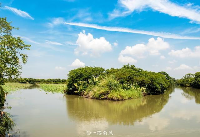 广州第一个湿地公园（广州市最大的湿地公园）(13)