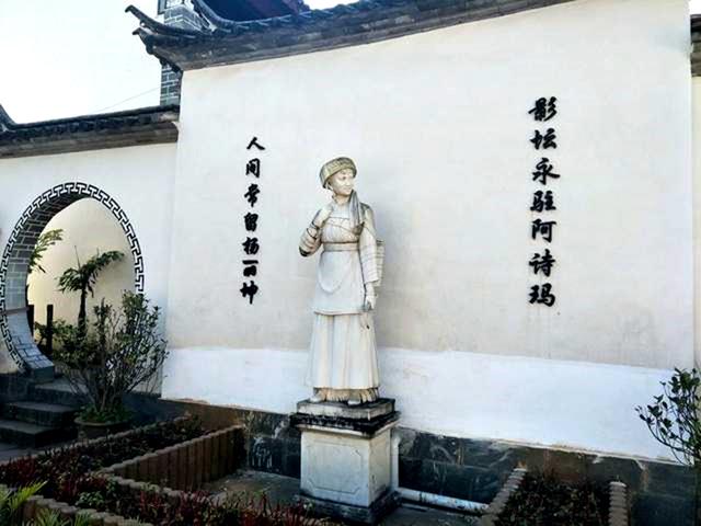 杨丽坤个人资料白族（云南的女儿杨丽坤去世22年）(11)