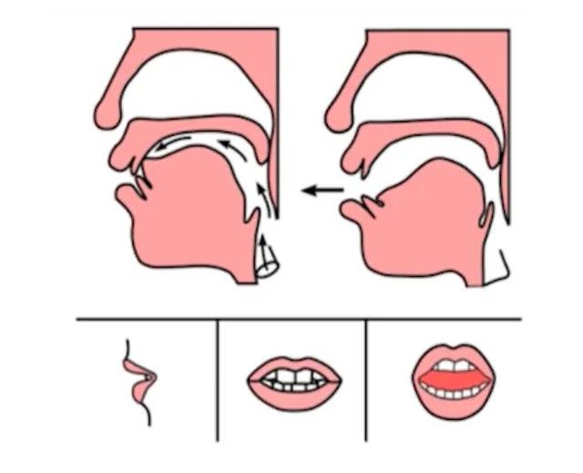 前鼻音发音技巧训练（今日干货分享①）(9)
