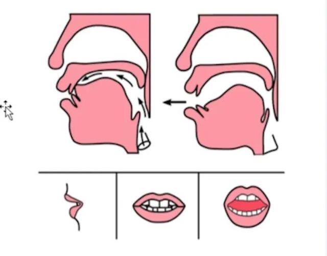 前鼻音发音技巧训练（今日干货分享①）(8)
