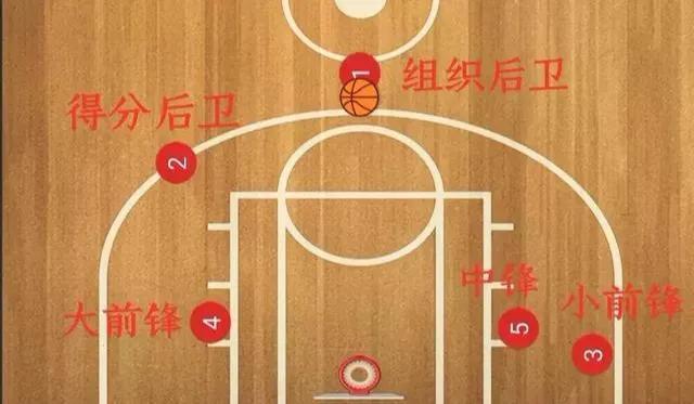 广东队1-5号位人员分布（篮球1-5号位站位图）