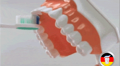 教你怎样正确刷牙（你真的会刷牙吗）(6)