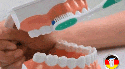 教你怎样正确刷牙（你真的会刷牙吗）(2)