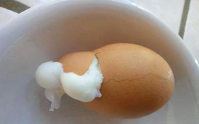 煮蛋器煮鸡蛋要煮多久才能煮熟（煮鸡蛋这么简单）(图2)