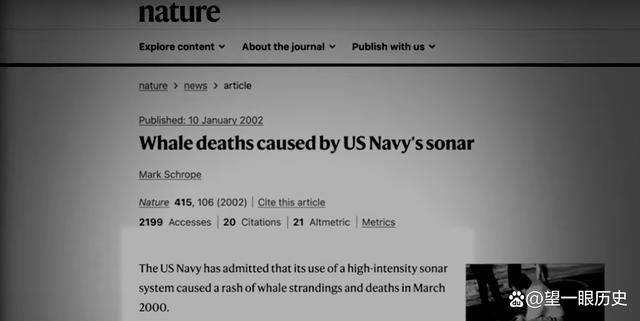 科学家是否真的破译了鲸鱼的叫声（海洋专家以为是鲸鱼的叫声）(7)