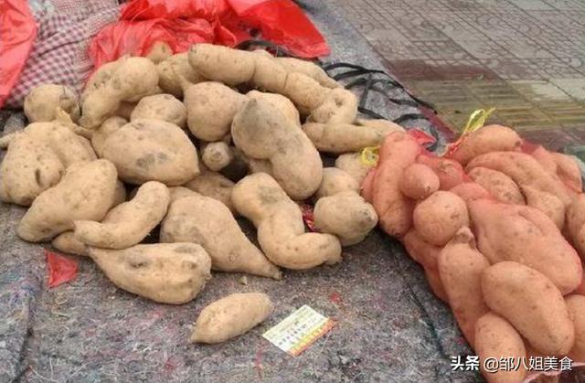 红薯怎么保存不发芽不烂呢（难怪会发芽发霉）(2)
