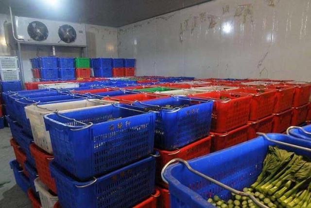 北京净菜加工设备价格优惠（蔬菜配送行业的）(2)