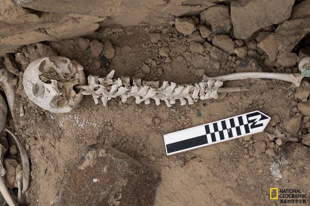 考古发现450具骨头（为什么近两百件人类椎骨被串成串）