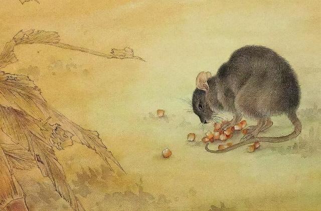 十二生肖各个年份的鼠（华夏风范十二生肖）(2)