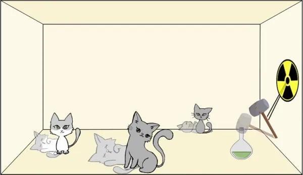 薛定谔的猫是半死不活的（薛定谔的猫是个什么效应）(3)