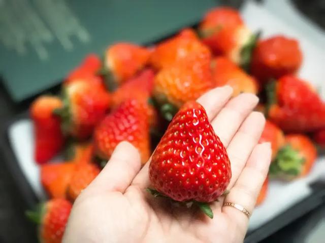 冬天买草莓怎么选（冬日凡尔赛水果第一名）(10)
