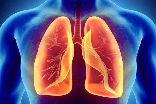 肺不好早期有什么症状（身体会有什么症状）(1)