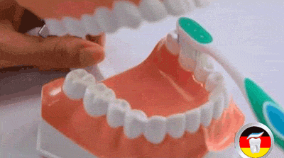 教你怎样正确刷牙（你真的会刷牙吗）(8)