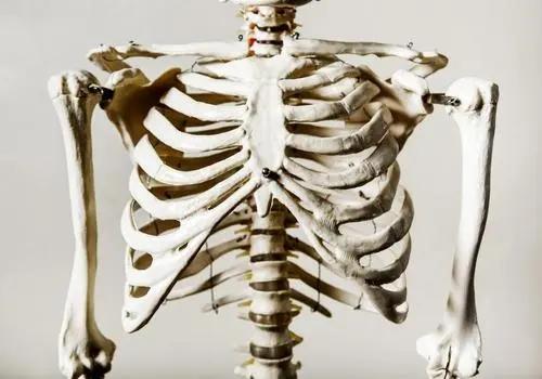 人类最大的骨头（10个拥有罕见身体特征的人类）(19)