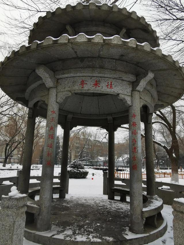 玲珑公园在北京什么位置（海淀区玲珑公园）(10)