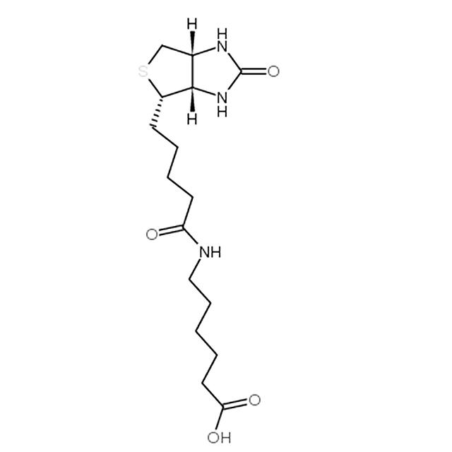6-氨基己酸（6-生物素氨基己酸CAS号）(1)