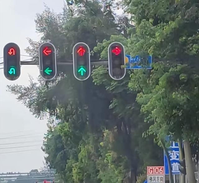 二车道并一车道怎么看红绿灯（新版红绿灯怎么看）(5)