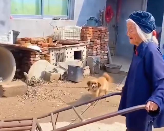 102岁的网红奶奶娄成玉（全网最高寿奶奶）(2)