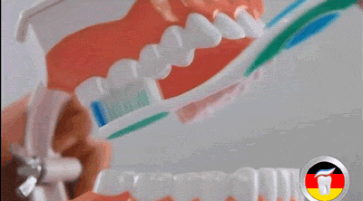 教你怎样正确刷牙（你真的会刷牙吗）(7)