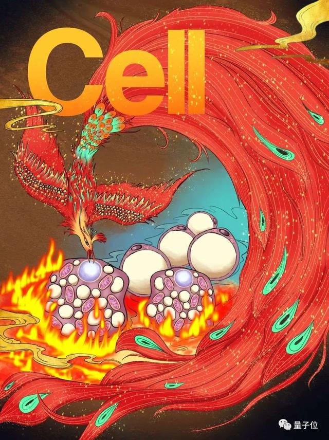 冷冻细胞减肥方法（减肥登Cell封面上热搜）(1)