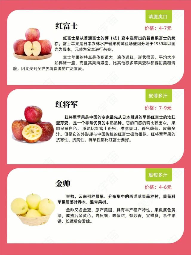 苹果的种类及说明（苹果知识20种苹果）(4)